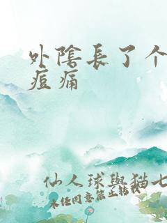 外阴长了个大痘痘痛