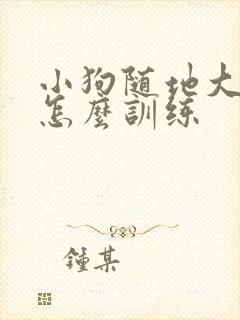 小狗随地大小便怎么训练