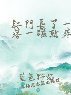 肛门长了一个疙瘩一碰就疼