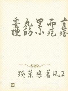 睾丸里面有个硬硬的小疙瘩疼