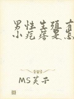 男性生殖有白色小疙瘩是怎么回事