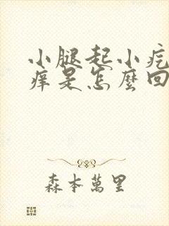 小腿起小疙瘩很痒是怎么回事