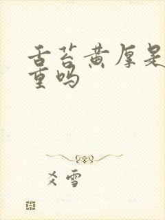 舌苔黄厚是湿气重吗