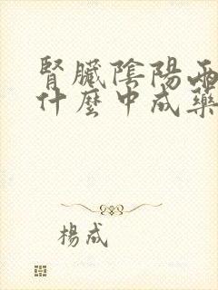 肾脏阴阳两虚吃什么中成药