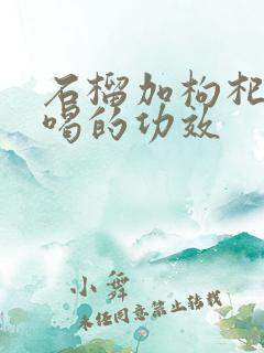 石榴加枸杞煮水喝的功效