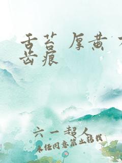 舌苔 厚黄 有齿痕