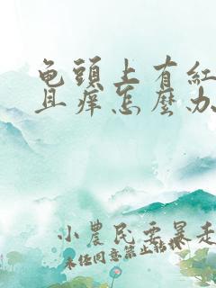 龟头上有红点并且痒怎么办