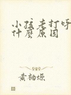 小孩老打呼噜是什么原因