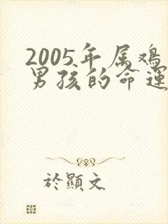 2005年属鸡男孩的命运怎么样