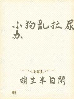 小狗乱拉尿怎么办