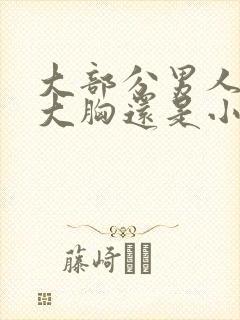 大部分男人喜欢大胸还是小胸