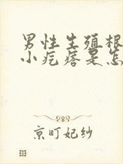 男性生殖根部有小疙瘩是怎么回事儿