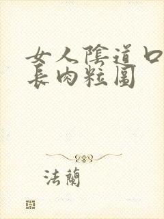 女人阴道口内侧长肉粒图