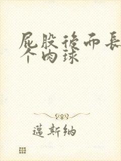 屁股后面长了一个肉球