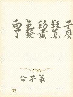 白色的鞋子放久了发黄怎么变白