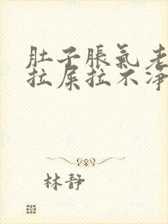 肚子胀气老放屁拉屎拉不净