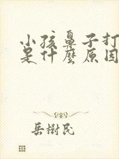 小孩鼻子打呼噜是什么原因引起的