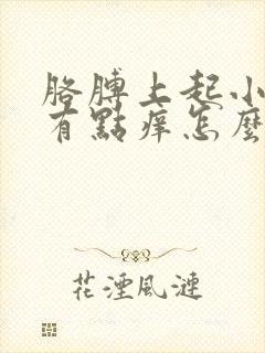 胳膊上起小红点有点痒怎么回事