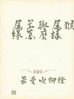 属羊与属猴的姻缘怎么样