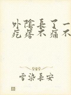 外阴长了一个硬疙瘩不痛不痒