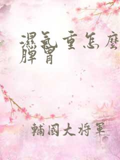 湿气重怎么调理脾胃