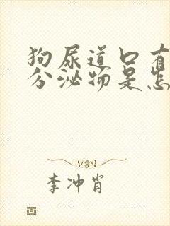 狗尿道口有白色分泌物是怎么回事