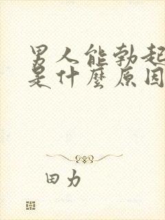 男人能勃起不坚是什么原因