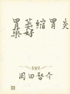 胃萎缩胃炎用啥药好