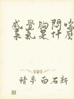 感觉胸闷喘不上来气是什么原因