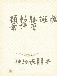 颈动脉斑块要注意什么