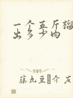 一个五斤榴莲能出多少肉