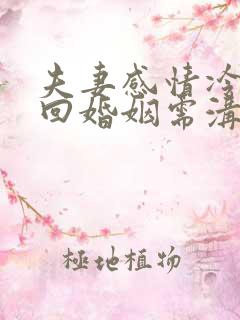 夫妻感情冷淡挽回婚姻需沟通