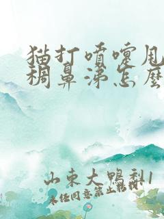 猫打喷嚏甩出浓稠鼻涕怎么办