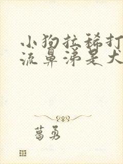 小狗拉稀打喷嚏流鼻涕是犬瘟热吗