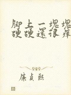 脚上一块块红色硬硬还很痒