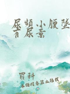 尿频小腹坠胀总有尿意