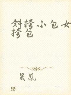 斜挎小包女 小挎包