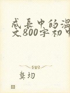 成长中的温暖作文800字初中