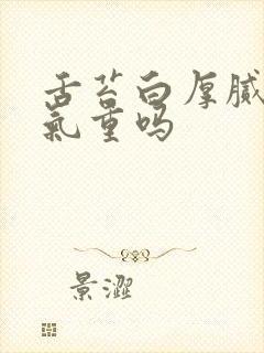 舌苔白厚腻是湿气重吗