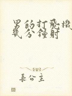 男的打飞机一般几分钟射