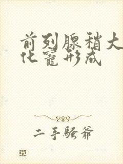 前列腺稍大伴钙化灶形成