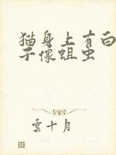 猫身上有白色虫子像蛆虫