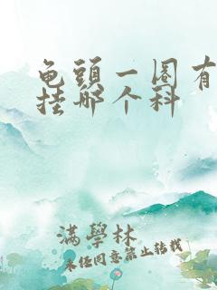 龟头一圈有红斑挂哪个科