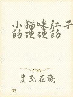 小猫咪肚子鼓鼓的硬硬的