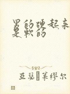 男的硬起来龟头是软的