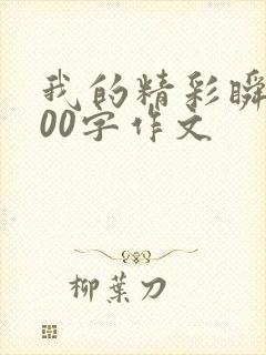 我的精彩瞬间800字作文