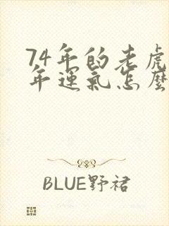 74年的老虎今年运气怎么样