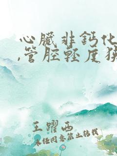 心脏非钙化斑块,管腔轻度狭窄