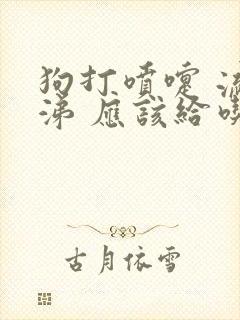 狗打喷嚏 流鼻涕 应该给吃什么药