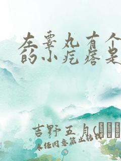 左睾丸有个硬硬的小疙瘩是怎么回事